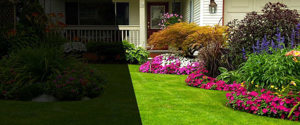 Grand Junction Landscapers