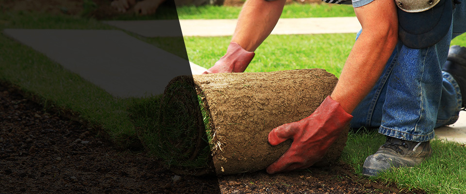 Grand Junction Landscapers